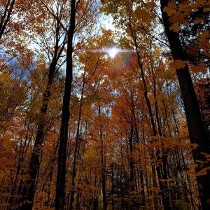 Meet your Posher, Ninfa